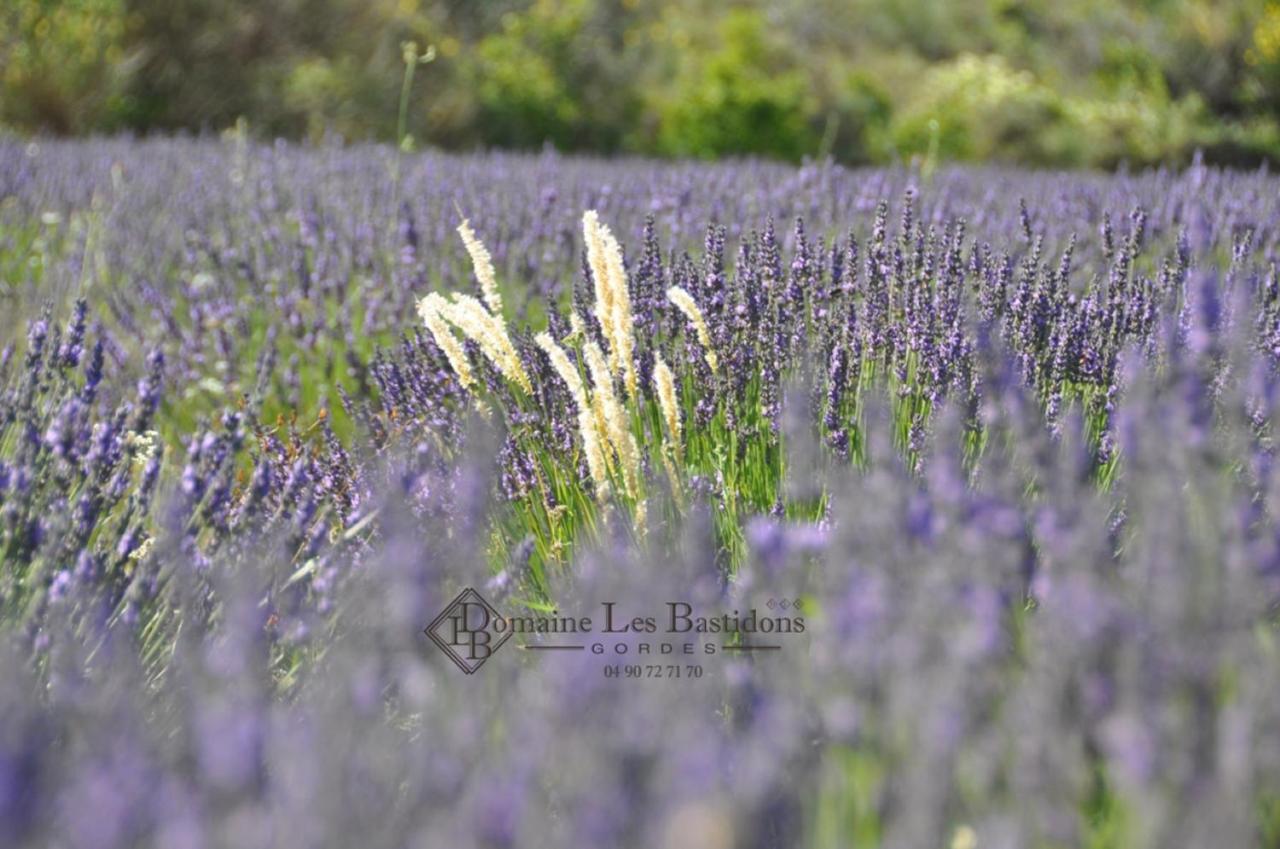 Domaine Les Bastidons Villa กอร์ด ภายนอก รูปภาพ